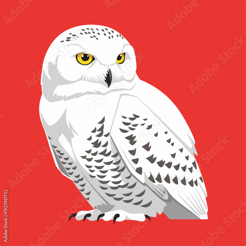 Snow owl vector illustration on red background