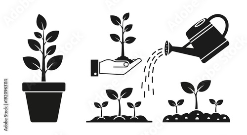 Modern Black Vector Icons Illustrating Plant Growth, Gardening, and Seedling Development Stages