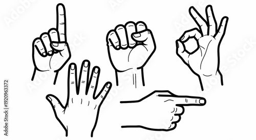 Diverse Hand Gestures Collection: Counting, Fist, Okay, Open Palm, Pointing