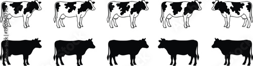 Cow silhouette collection with black and white dairy cattle, farm animal side view illustration isolated on white background
