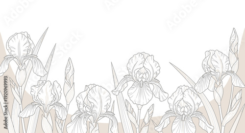 Foto Elegant Art Iris Flowers and Leaves on a Light Background