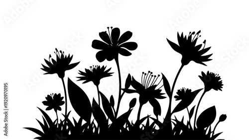 Black silhouette of various wildflowers and grass growing in a field, isolated on a white background, depicting a natural floral scene.