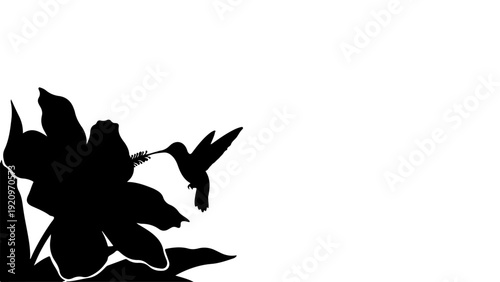 Black silhouette of a hummingbird feeding nectar from a flower against a white background.