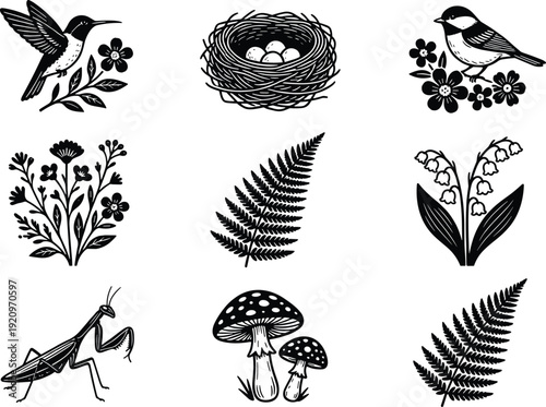 Forest wildlife and botanical vector illustration set, birds, nest, fern leaves, mushrooms and praying mantis silhouettes