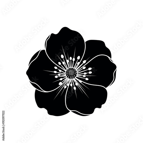 Black and white flower illustration with intricate details.