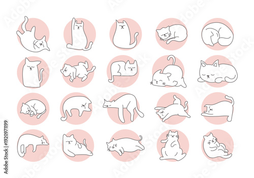 Cute Cat Sleeping Illustration