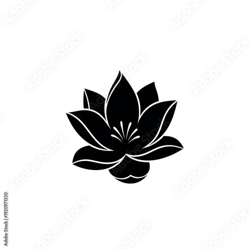 Black Lotus Flower Silhouette on White Background.