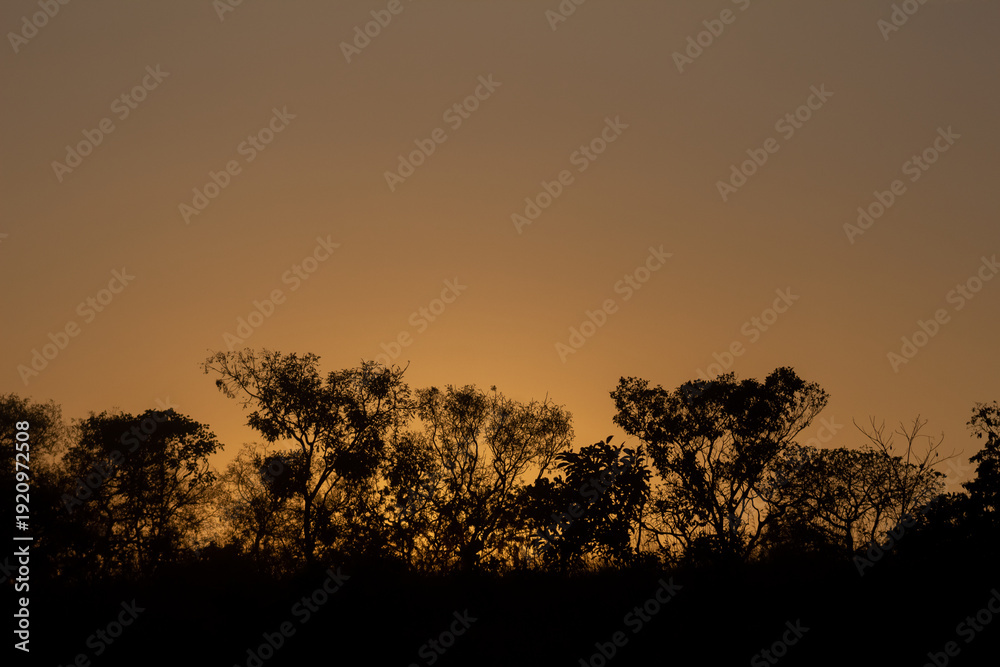 Obraz premium Sunset in the Okavango Delta - Moremi National Park in Botswana