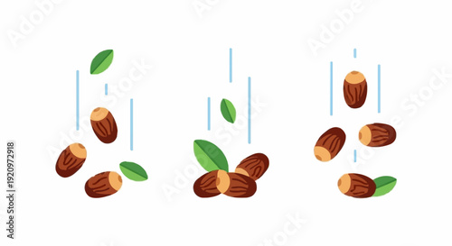 Almonds or dates palmand leaves falling from above, scattered in mid-air, illustration of nuts and foliage in three sequential stages