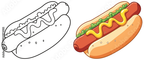 Hot dog vector illustration with mustard and fresh lettuce
