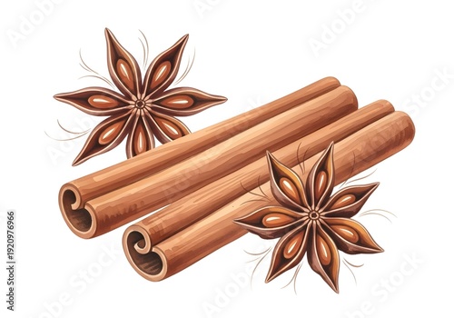 Cinnamon Sticks and Star Anise Illustration