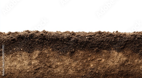Cross-section reveals layers of rich, dark earth against a white backdrop
