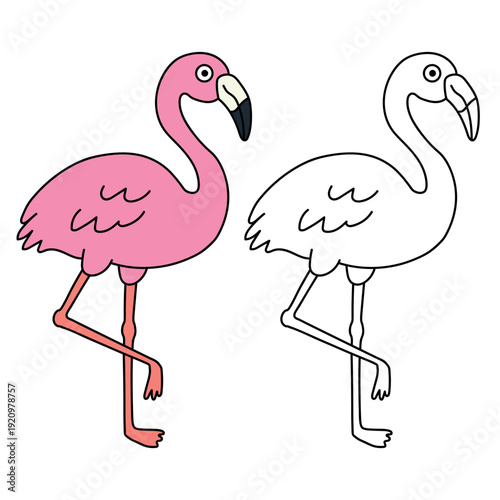 Doodle flamingo coloring pages for kids. Trace and color flamingo. Animal worksheets for kids activity printable. Cartoon flamingo clip art vector isolated on white background.