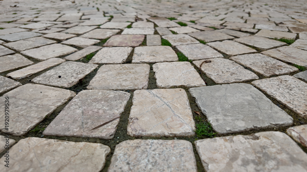 Fototapeta premium Pathway made of stones with grass between them in a park