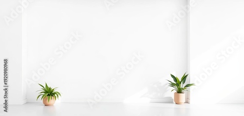 Clean, white blank wall mockup for design presentation,  marketing,  white