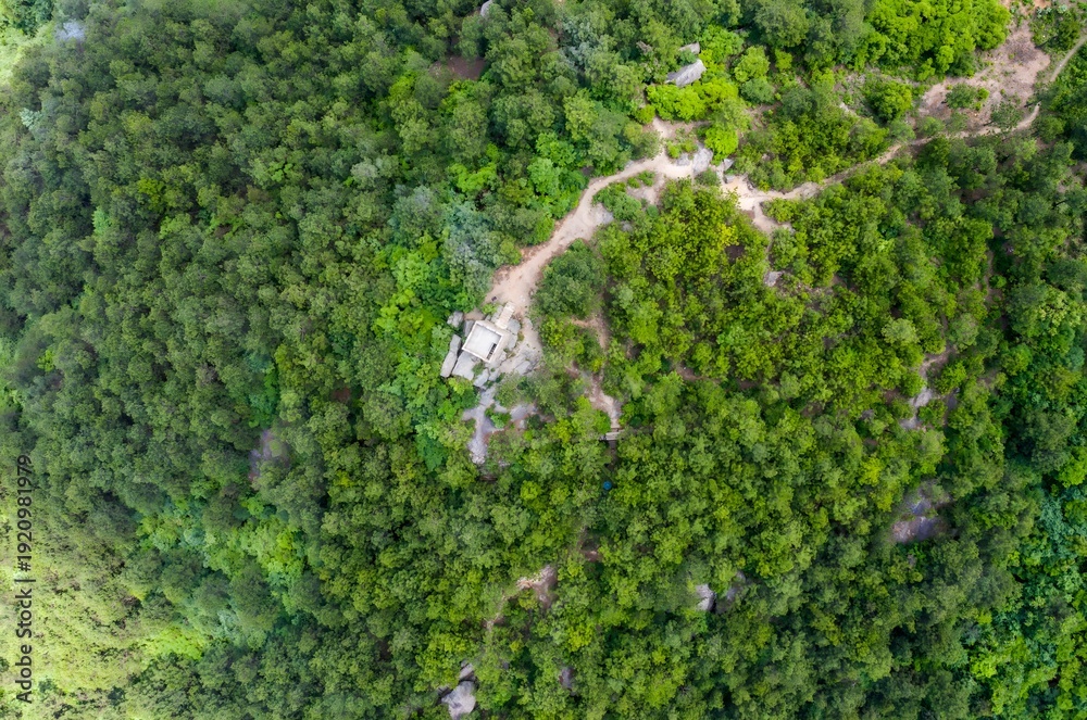 Fototapeta premium Secret Mountain Forest Structure - Aerial View
