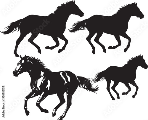  A set of Fusaichi Pegasus.