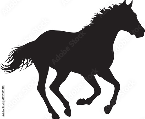 Fusaichi Pegasus in silhouette