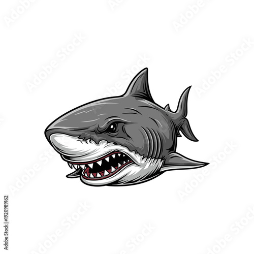 Aggressive gray shark illustration with open mouth and sharp teeth