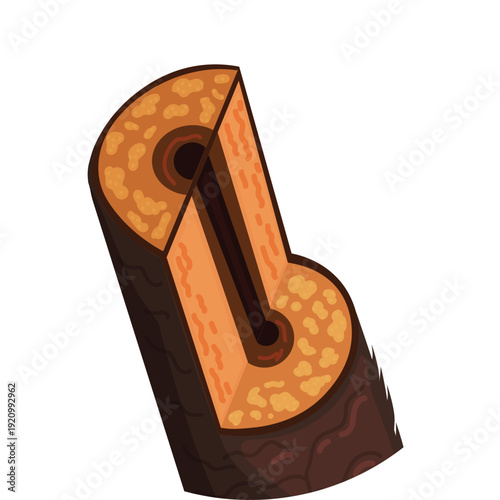 Microscopic cross section of hair follicle layers medical diagram.