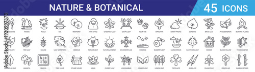Set of 45 outline nature and botanical icons including sol, season, grains, yucca, amanita, yew leaf, woods. Vector line icons for web and mobile