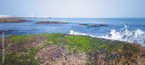 The Convergence of Stillness and Motion: Long Exposure of Ocean Waves Crashing on Mossy Rocks with Silk Water Effect