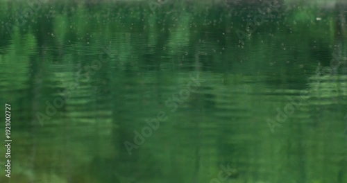 Green Forest Reflection on Calm River Surface with Rain Drops, Bosnia