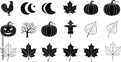 Tropical fish silhouette set, exotic marine aquarium species profile, black isolated ocean wildlife vector illustration design