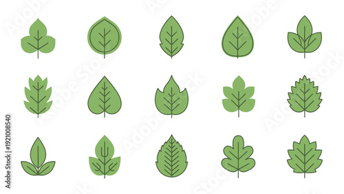 Collection of various green leaf shapes.