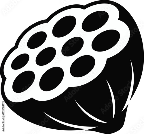 Lotus seed pod black and white vector on white background.