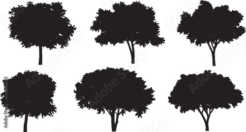 Black Solid Medicinal Neem Tree Silhouettes Set of Six on White Background