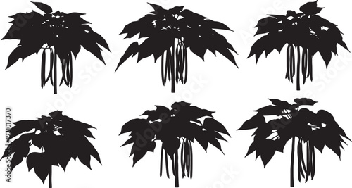 Black Solid Bean Pod Catalpa Tree Silhouettes Set of Six on White Background