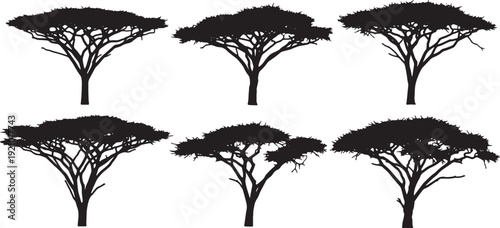 Black Solid African Acacia Tree Silhouettes Set of Six on White Background