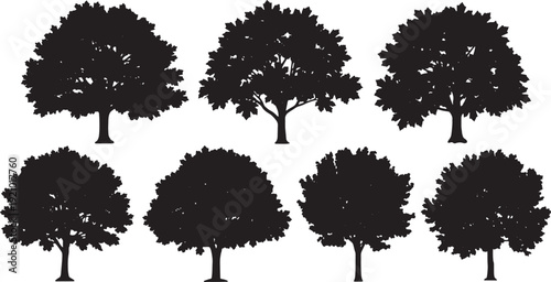 Black Solid Canadian Maple Tree Silhouettes Set of Six on White Background