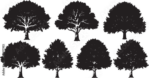 Black Solid American Sycamore Tree Silhouettes Set of Six on White Background