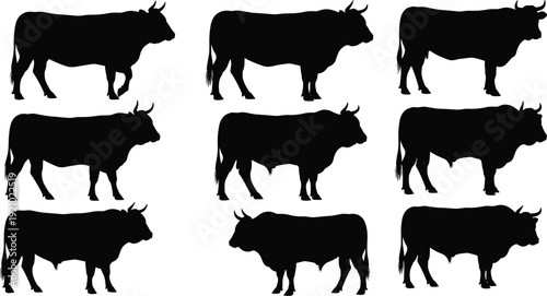 Silhouette Vector Illustration Set of Bulls, Collection of Strong Farm Animals and Male Cattle in Standing Poses for Agriculture Design,