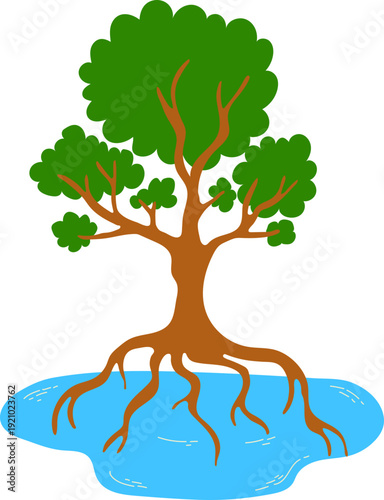 Mangrove Tree with Roots