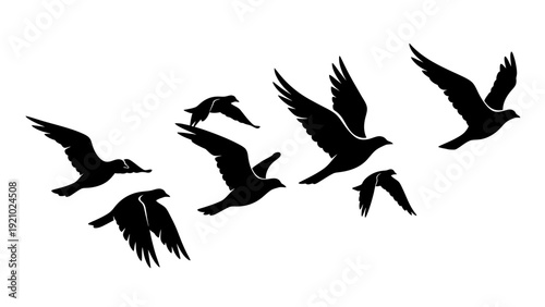 Silhouette Flock of Birds Flying in Formation Against White Background.