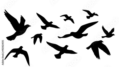 Silhouette Flock of Birds Flying in the Sky.