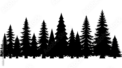 Silhouette of a Dense Pine Forest Landscape.