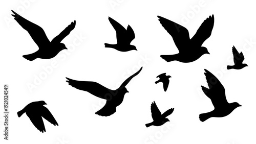 Silhouette of a flock of birds flying in the sky.