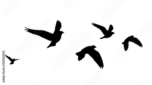 Silhouette of a flock of birds flying in the sky.