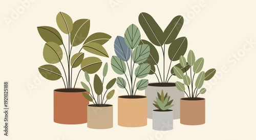 Potted Plants in Colored Containers.