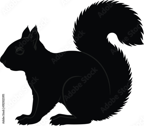 Squirrel silhouette illustration, wildlife animal bushy tail sitting profile character design, vector artwork, nature and education theme, isolated background