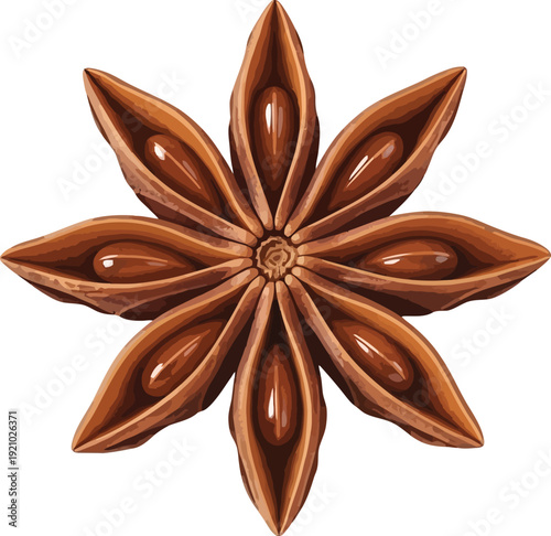 Realistic illustration of a single dried star anise pod a fragrant culinary spice and aromatic ingredient isolated on a white background