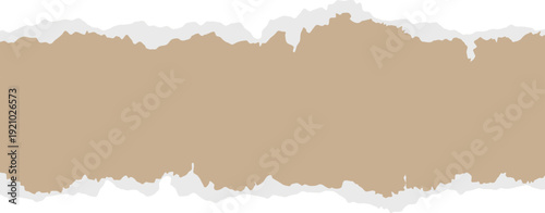 Journal tape with heavy ripped paper look