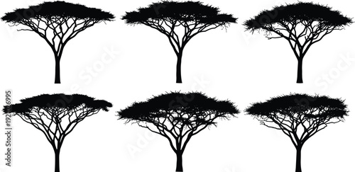 African acacia tree silhouette set, savanna landscape nature collection with flat top canopy trees, black vector isolated on white background