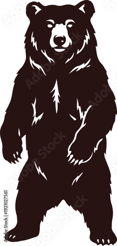 Powerful Brown Bear Standing Silhouette Isolated
