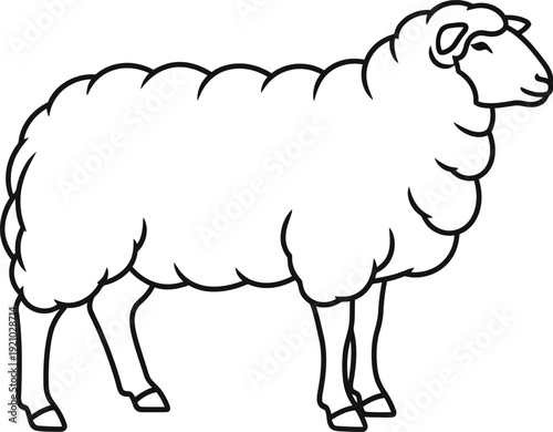 Simple black and white outline illustration of a standing sheep perfect for childrens coloring books educational materials or farm animal concepts