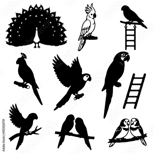 Black silhouettes of various exotic birds including parrots, a peacock, and lovebirds, some on perches.